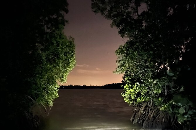 GLOW Clear Kayak Tour - Physical Requirements and Accessibility