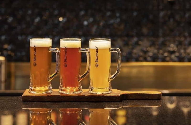 Gniezno Tour and Polish Food Experience - The Private and Flexible Nature of the Tour