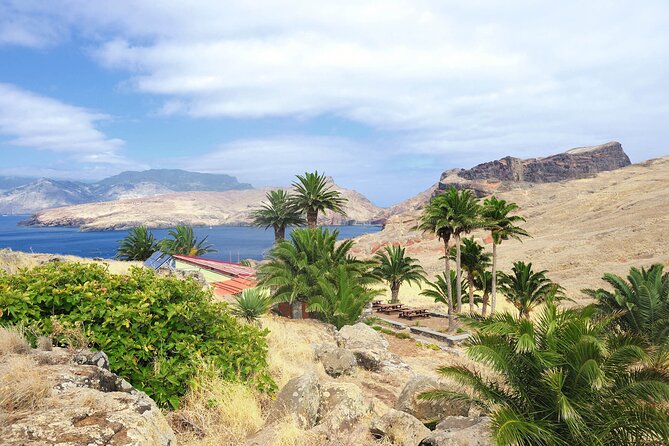 Go East Tour - Madeira Island Excursion - Ponta de São Lourenço: The Eastern Tip’s Dramatic Cliffs