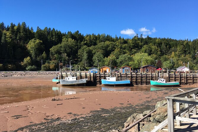 Go Fundy Tours - Exploring the Saint Martins Sea Caves