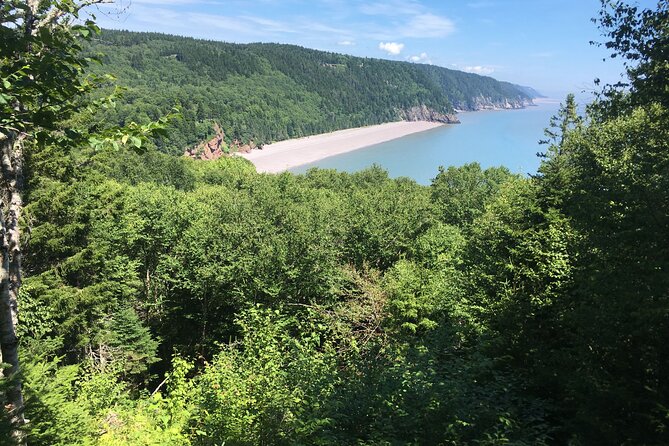 Go Fundy Tours - The Guides: Knowledgeable and Attentive