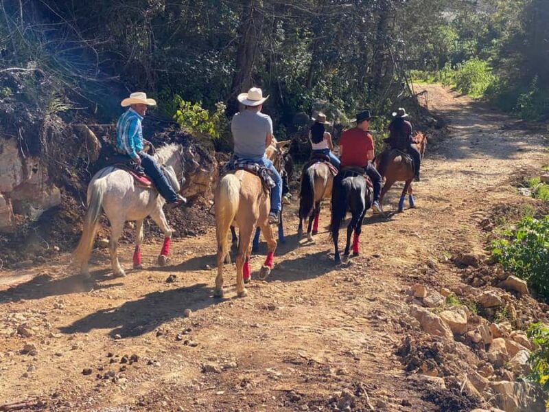 Go horseback riding in the forest and visit San Juan Chamula - Key Points