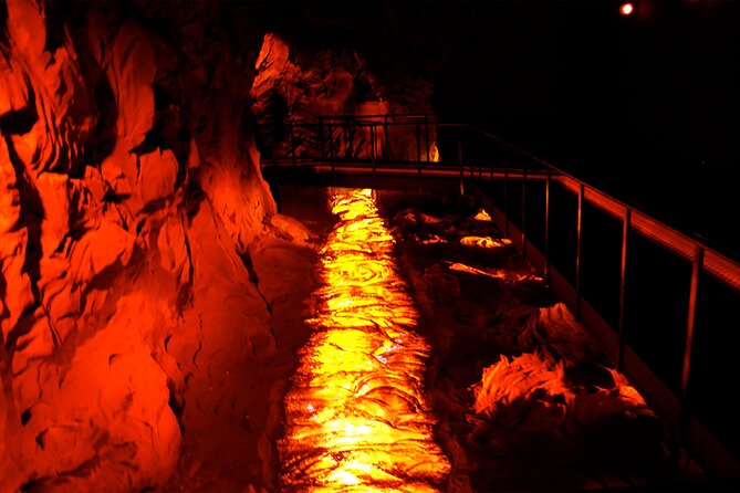 Go North Tour - Madeira Island Excursion - Flexibility and Cancellation Policy