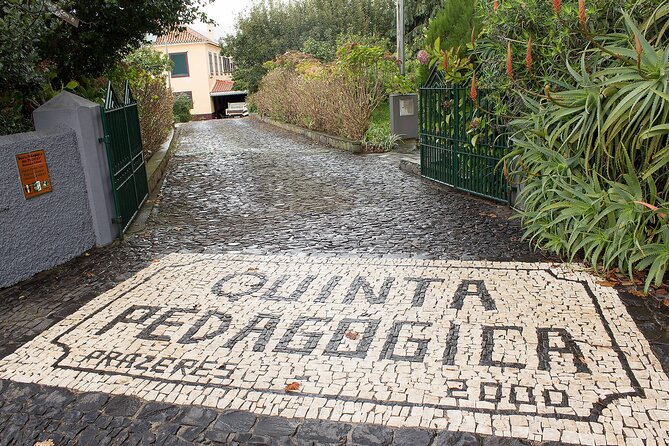 Go South Tour - Madeira Island Excursion - Starting Point and Group Size in Funchal