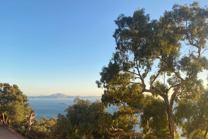 Go Tours Private Rock Experience Tour in Gibraltar - Standing on the Skywalk Glass Platform