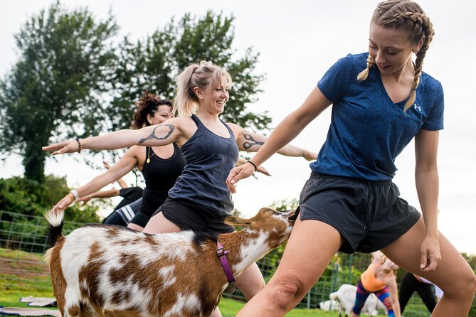 Goat Yoga with Miniature Goats In Maui - Cancellation Policy and Booking Details