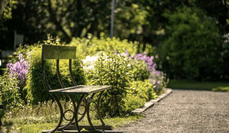 Godafoss Express Classy Round Trip Multiple Drop Off Choice - Visiting Akureyri’s Cultural and Natural Sites