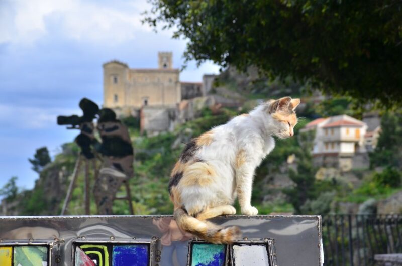 GODFATHER TOUR film's locations departure from Taormina area - Scenic Drive and Relaxation in Forza DAgrò