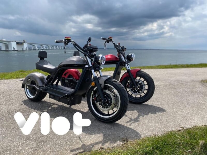 Goes: Full-Day E-Bike Rental - Discovering Coastal Towns: Yerseke and Veere