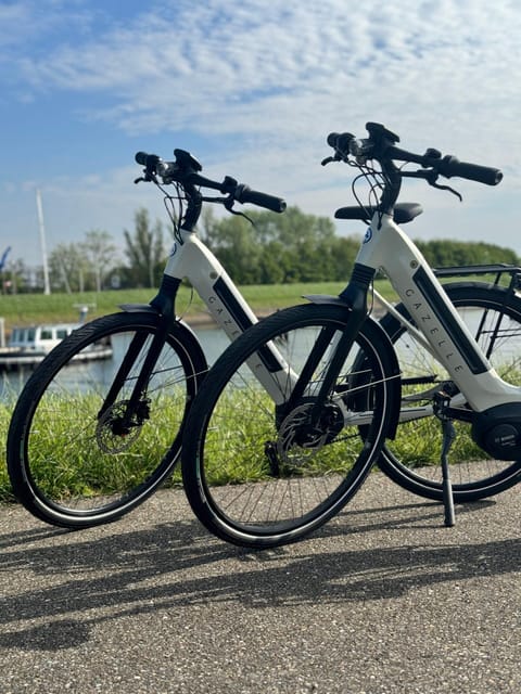 Goes: Full-Day E-Bike Rental - Who Will Appreciate This Tour Most?