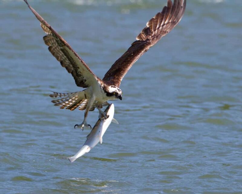 Gold Beach, Oregon: Historic Mail Route Jet Boat Tour - The Tours Starting Point at Gold Beach: Convenient and Accessible