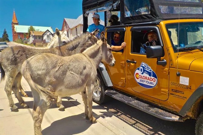 Gold Belt Scenic Byway Jeep Tour from Cañon City - Booking and Cancellation Policies