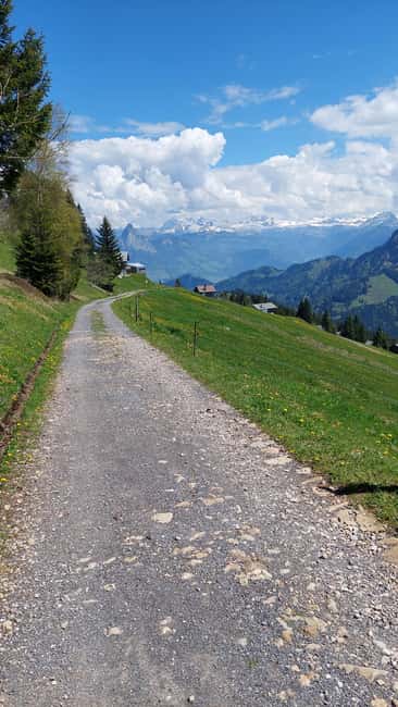 Goldau: Mount Rigi Guided Walk with BBQ Lunch - What to Bring and Considerations