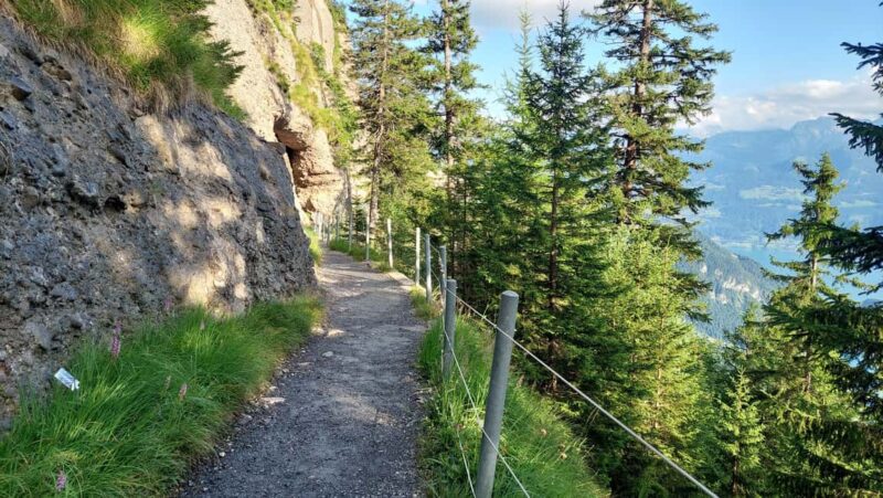 Goldau: Mount Rigi Guided Walk with BBQ Lunch - The Guide and Overall Experience