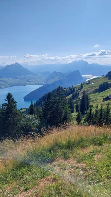 Goldau: Mount Rigi Guided Walk with BBQ Lunch - Limitations and Who Will Enjoy This Tour Most
