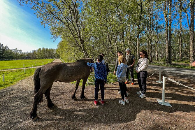 Golden Circle and Lunch at Fridheimar Tomato Farm - with photos - Convenient Logistics with Hotel Pickup and Drop-Off