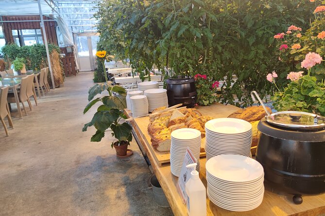 Golden Circle, Cook eggs in a hot spring, Shore Excursion - Experiencing Geysir and Watching the Erupting Geyser