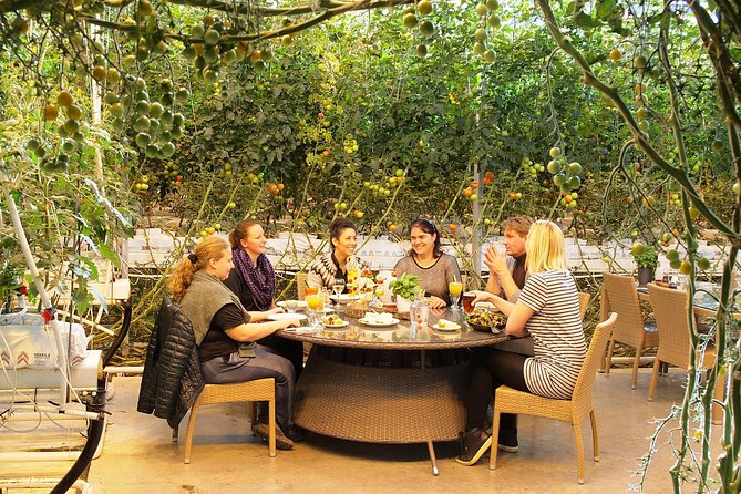 Golden Circle, Fridheimar Farm & Horses Small Group Tour from Reykjavik - Key Points