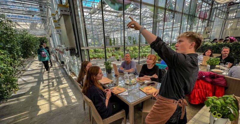 Golden Circle & Lunch at Fridheimar Tomato Farm- with photos - A Delicious Lunch at Friðheimar Tomato Farm