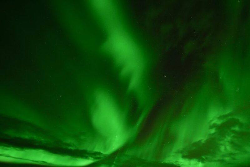 Golden Circle & Northern Lights Winter Small Group Tour - Free Time in Reykjavik for Dinner