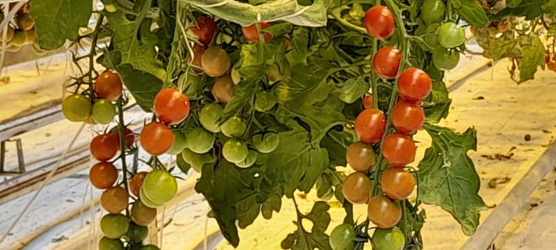 Golden Circle Private Tour with a Local - Exploring Kerið Crater: A Volcanic Gem