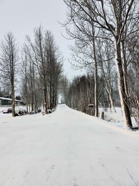 Golden Circle Private Tour with Lava Tunnel(Optional) - Blue Lagoon: Relaxation in Geothermal Waters