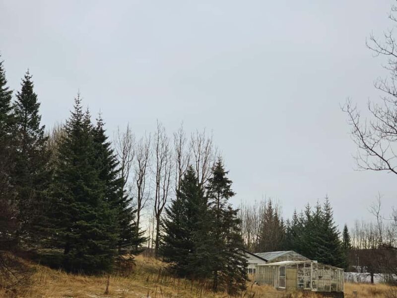 Golden Circle Private Tour with Lava Tunnel(Optional) - Flexibility and Weather Considerations