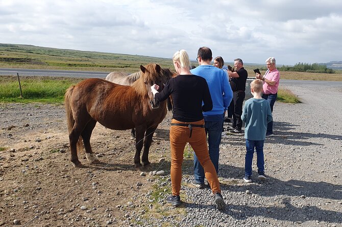 Golden Circle - Shore Excursion from Reykjavik in Minibus, English - Indulge in Icelandic Ice Cream at Efsti-Dalur Farm