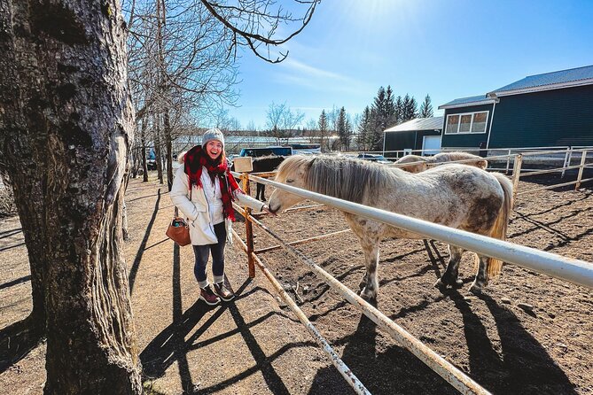 Golden Circle, Silfra Snorkeling & Fridheimar Tomato Farm Lunch - All-Inclusive Experience with Photos and Equipment
