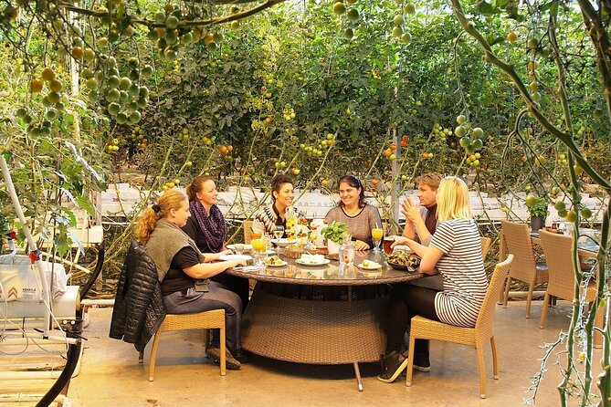 Golden Circle Tales, Tomato Farm & Kerid! Small Group Adventure - Food and Refreshments
