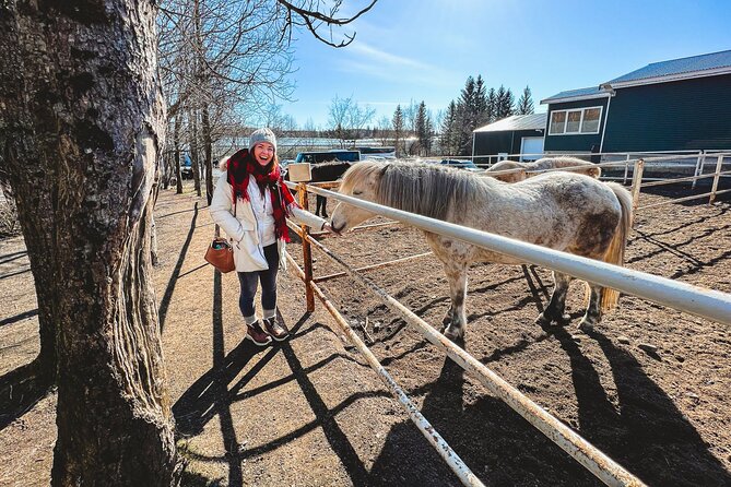 Golden Circle, Tomato Farm Lunch & Sky Lagoon - with photos - Lunch at Fridheimar Tomato Farm: A Greenhouse Culinary Experience