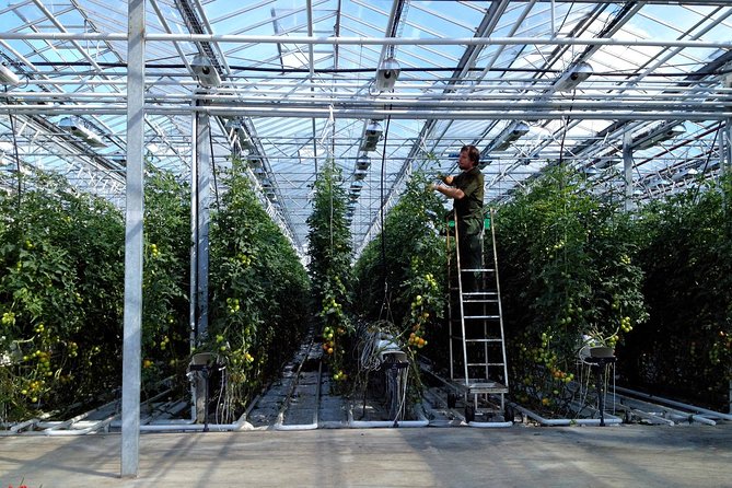 Golden Circle Tour and Evening Northern Lights Cruise from Reykjavik - Logistics and Practical Details