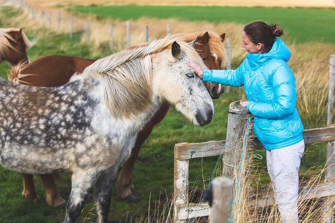 Golden Circle & Viking Horse Experience - The Experience of the Reykjavik Sightseeing Guides
