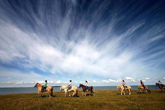 Golden Circle & Viking Horse Experience - Cancellation Policy and Flexibility