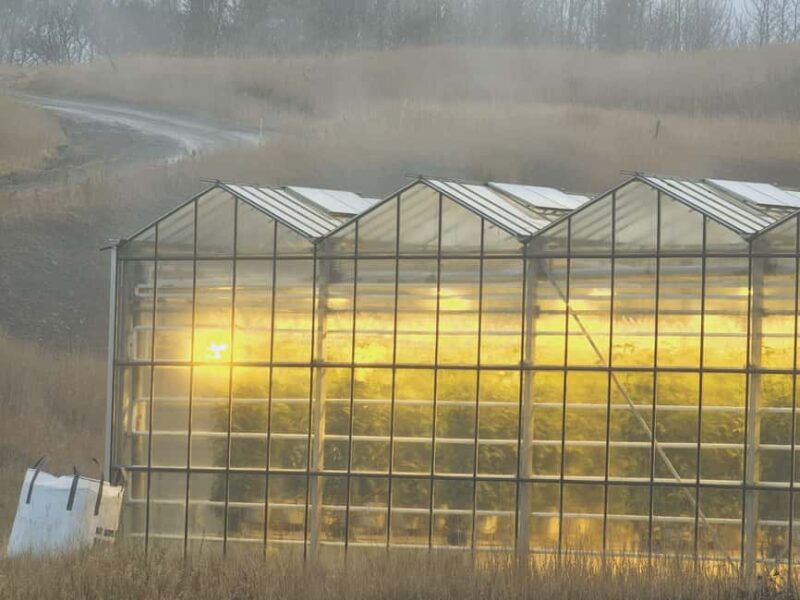 Golden Circle with Tomato Farm and Secret Lagoon(Optional) - Logistics and Transportation Details