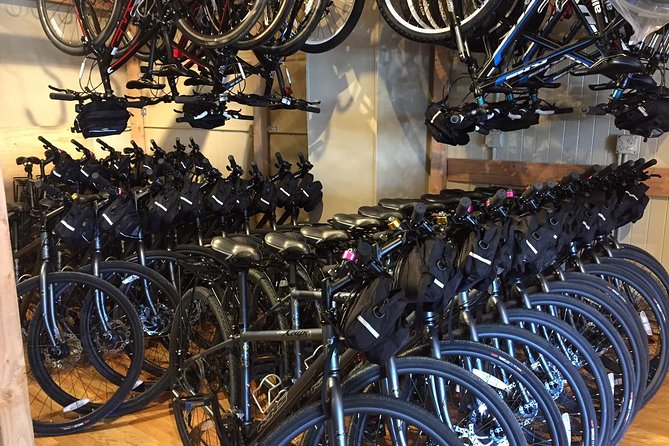 Golden Gate Bridge Electric Bike Rentals (E-Bike Rentals All day) - Customer Satisfaction and Overall Value