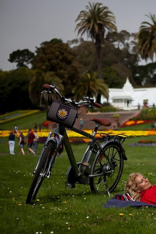 Golden Gate Park: Full-Day Self-Guided Bike Tour - Museums and Cultural Stops