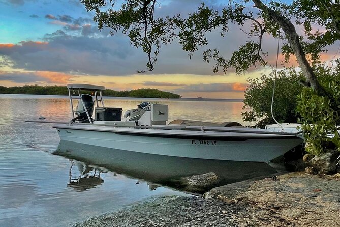 Golden Glare Fishing Charter with Experienced Captain - All-Inclusive Gear and Bait for a Hassle-Free Trip