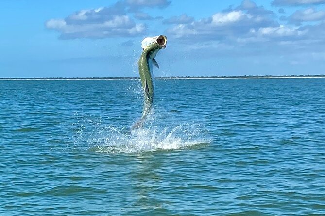 Golden Glare Fishing Charter with Experienced Captain - Who Will Appreciate This Tour Most