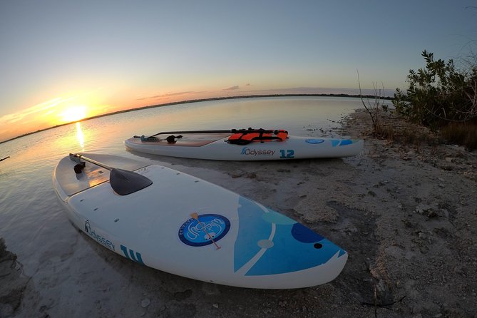 Golden Hour at Mariscal Lagoon: A Sunset to Remember - Discover the Magic of Bacalar’s Golden Hour from a Paddleboard