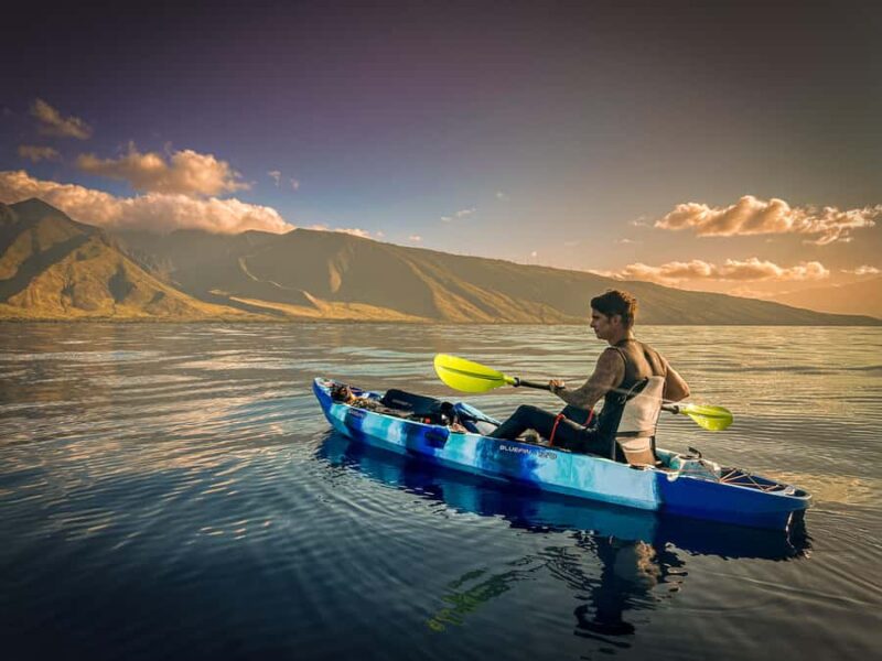 Golden Hour Kayak Cruise Through Turtle Town - What to Expect During the Kayak Tour