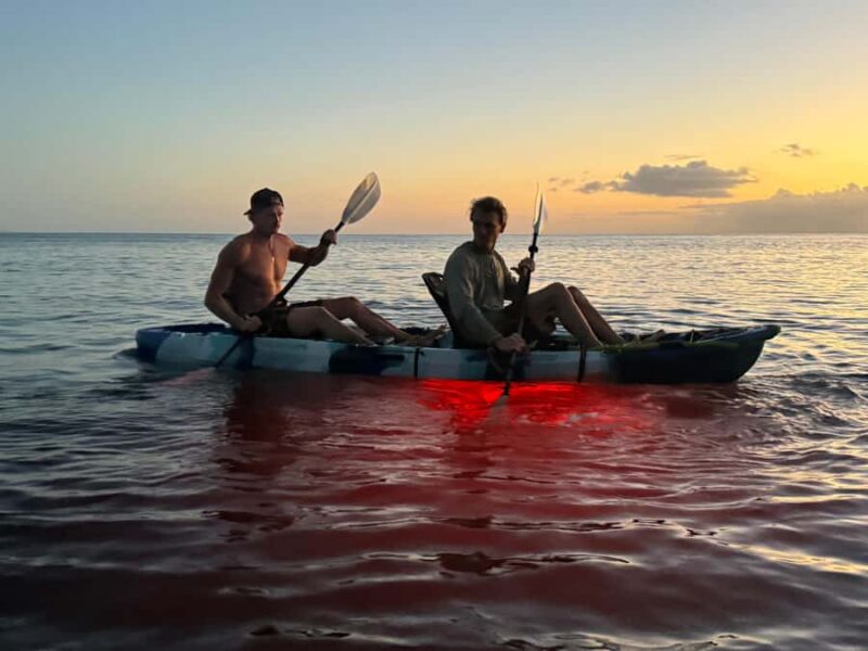 Golden Hour Kayak Cruise Through Turtle Town - The Scenic Coastline of South Maui