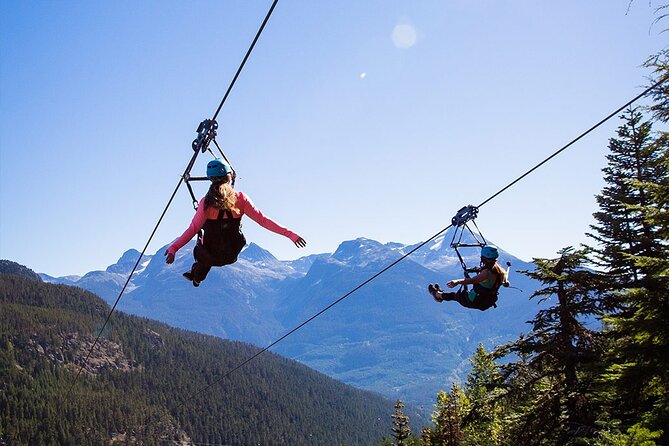 Golden Sky Bridge & Yoho National Park Private Day Tour - Wapta Falls: Power and Beauty in Motion