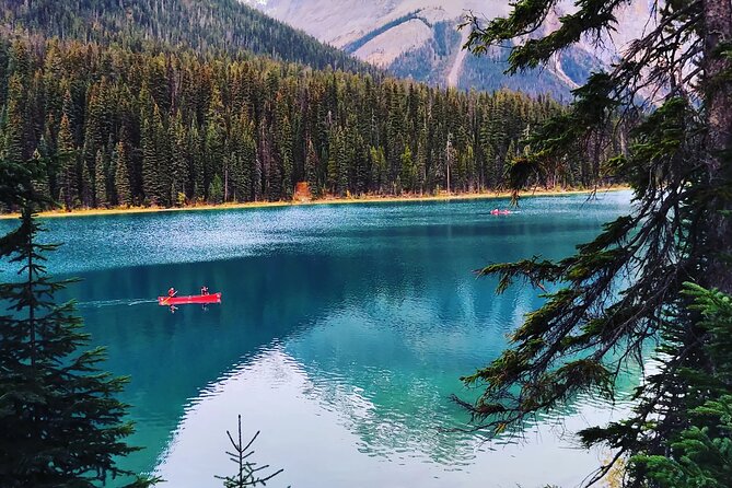 Golden Sky Bridge & Yoho National Park Private Day Tour - Takakkaw Falls: A Towering Natural Wonder