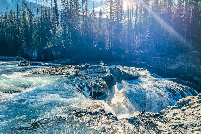 Golden Skybridge Emerald Lake Natural Bridge and Takakkaw Falls - Who Will Enjoy This Tour?