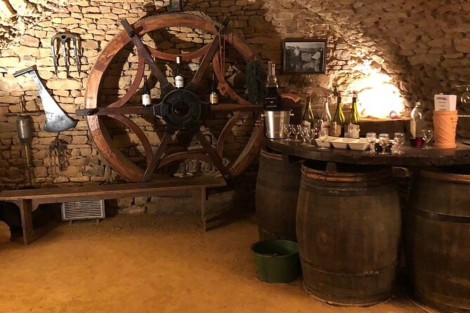 Golden stones Beaujolais Wine Tour with Tastings from Lyon - Pacing, Duration, and Physical Requirements