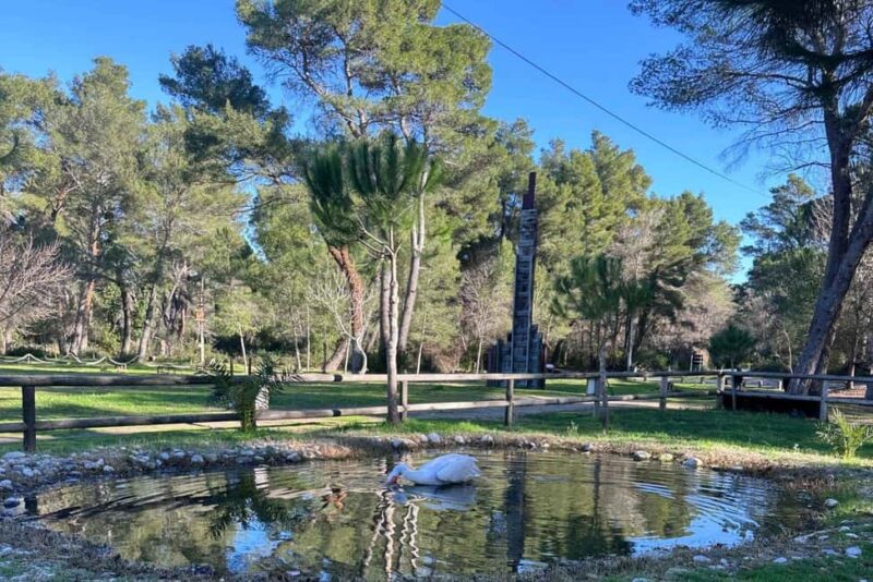 Golem/Durrës: Karavasta Lagoon Tour - Seasonal Boat Rides Inside the Lagoon