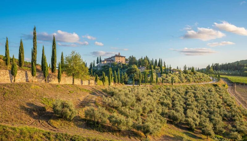 Golf Cart Tour: Highlights of Florence and Hills - Key Points