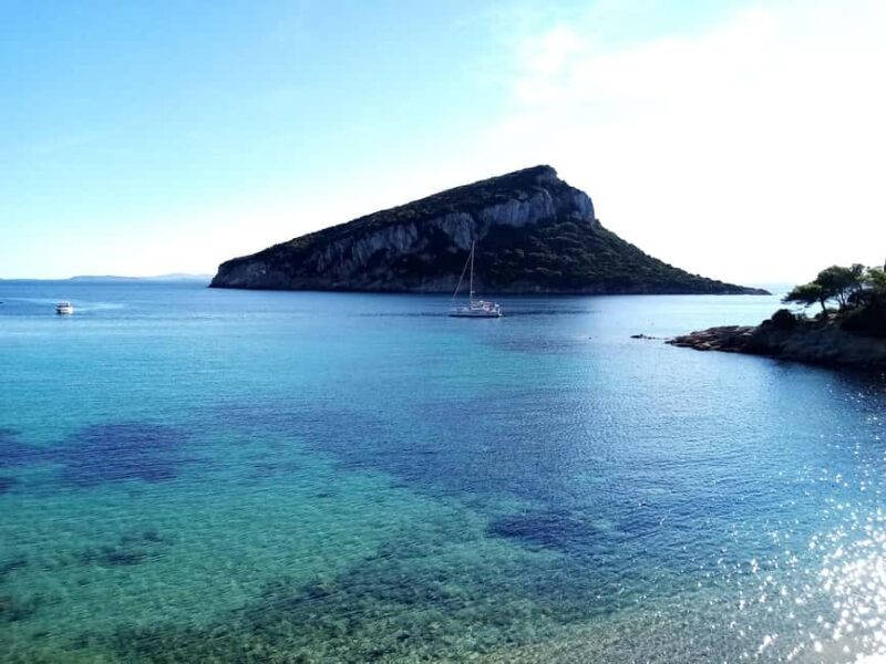 Golfo Aranci: An enchanting walk through history, plants, and geology - Discovering the Lime Quarries from the 19th Century