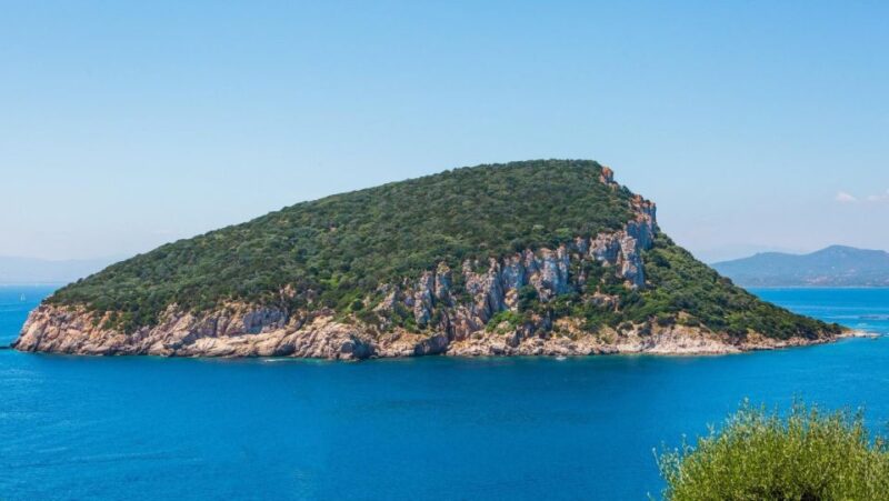 Golfo Aranci: Dolphin Watching and Snorkeling Boat Tour - Starting Point and Meeting Details